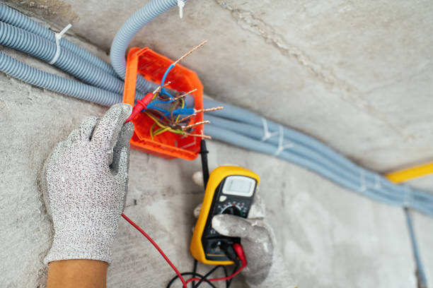 Best Ceiling Fan Installation Electrician  in Spring Creek, NV